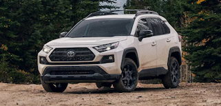 2022 Toyota RAV4 for sale in Morristown