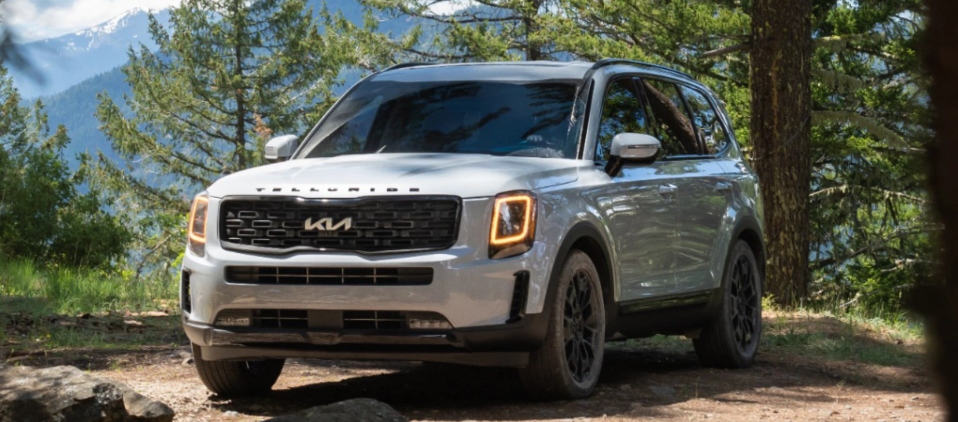 2022 Kia Telluride for Sale near Orland Park, IL Evergreen Kia