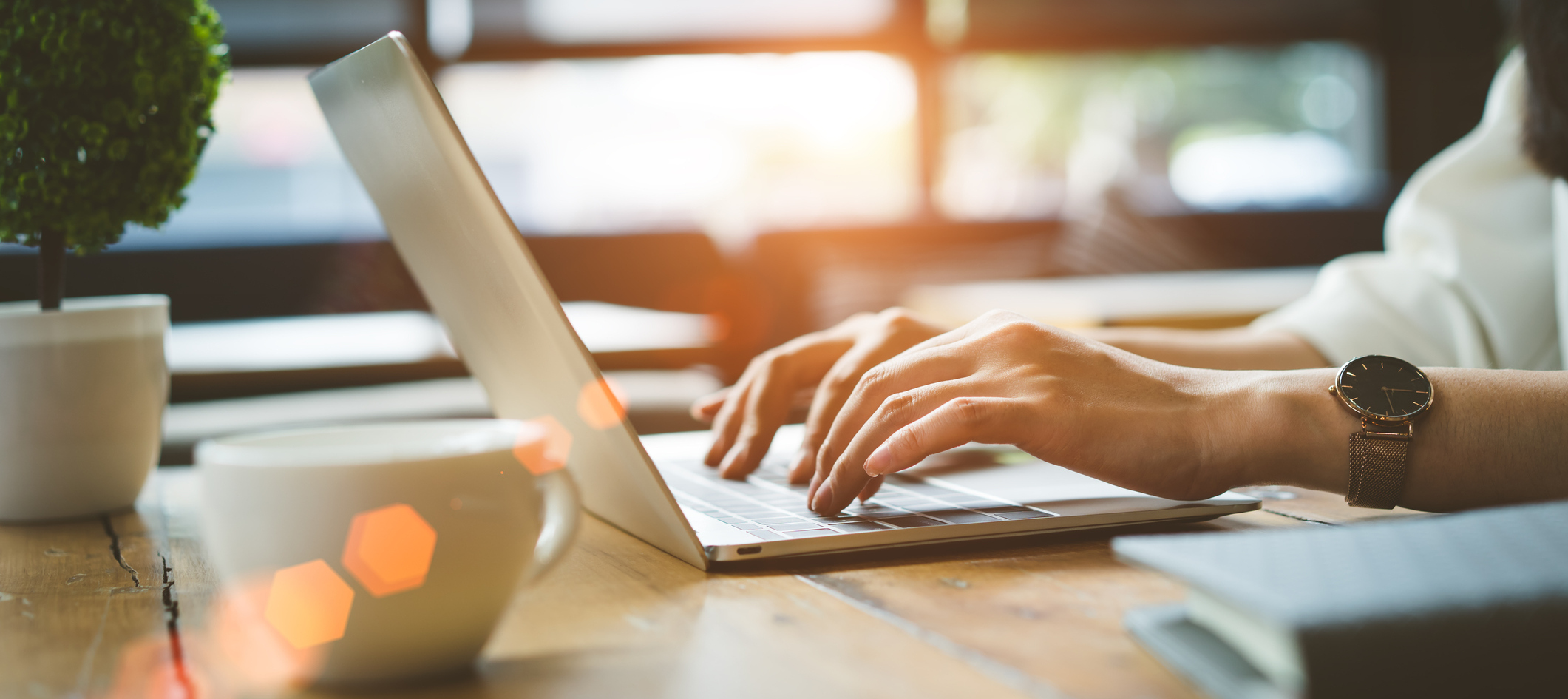 View Our Online Inventory!