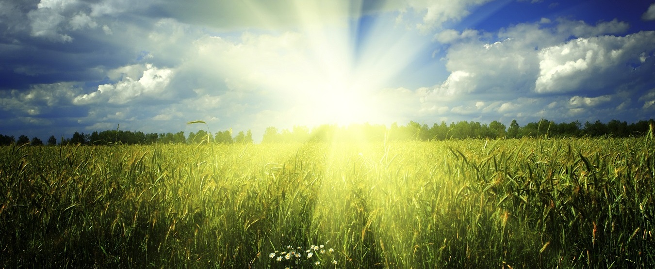 Prepare Your Vehicle for Summer Travel near Covington, GA