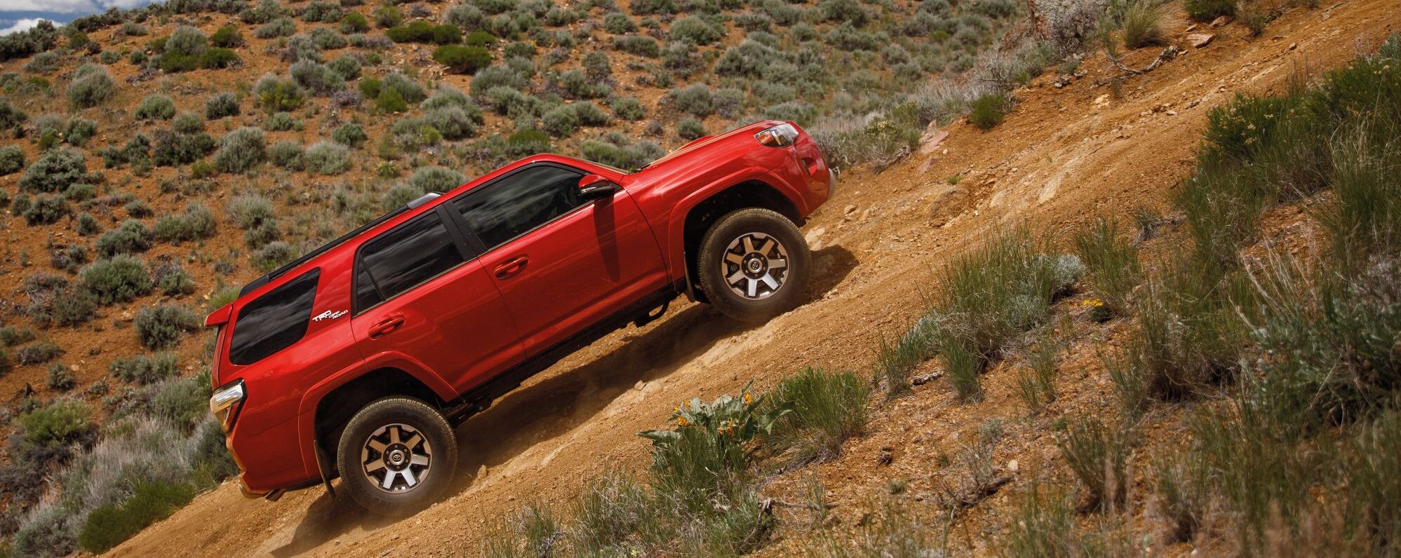 2022 Toyota 4Runner for Sale near Lee's Summit, MO, 66086 Molle Toyota