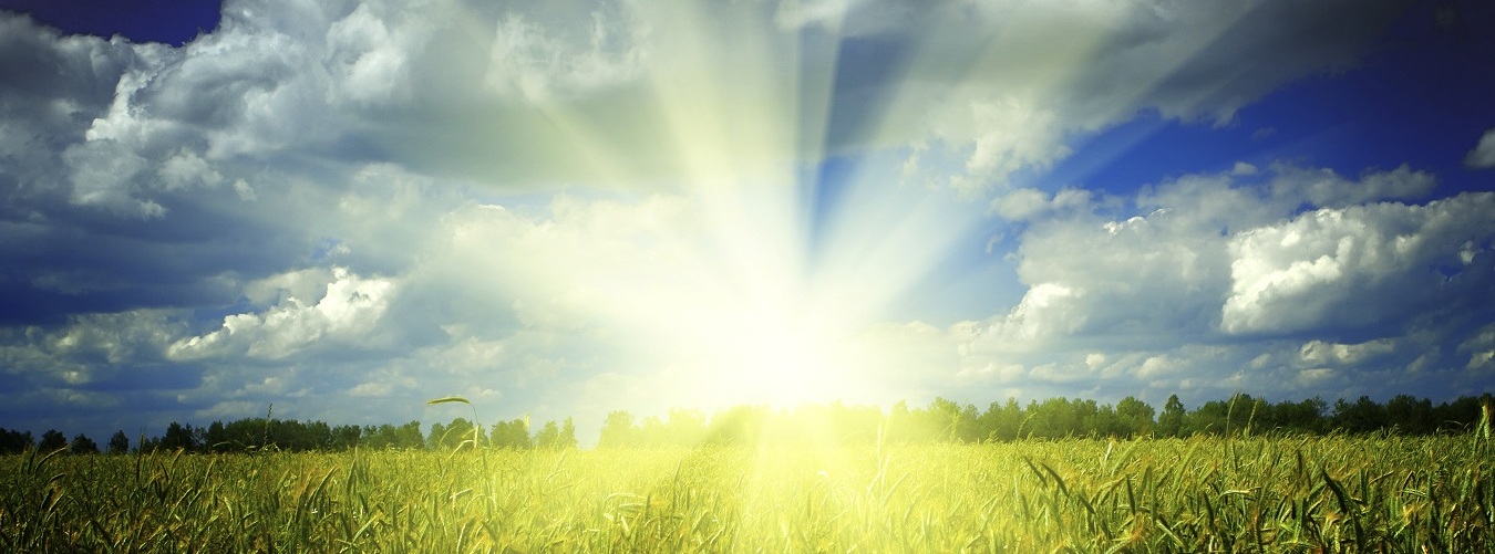 Prepare Your Nissan for Summer Travel in Chicago, IL