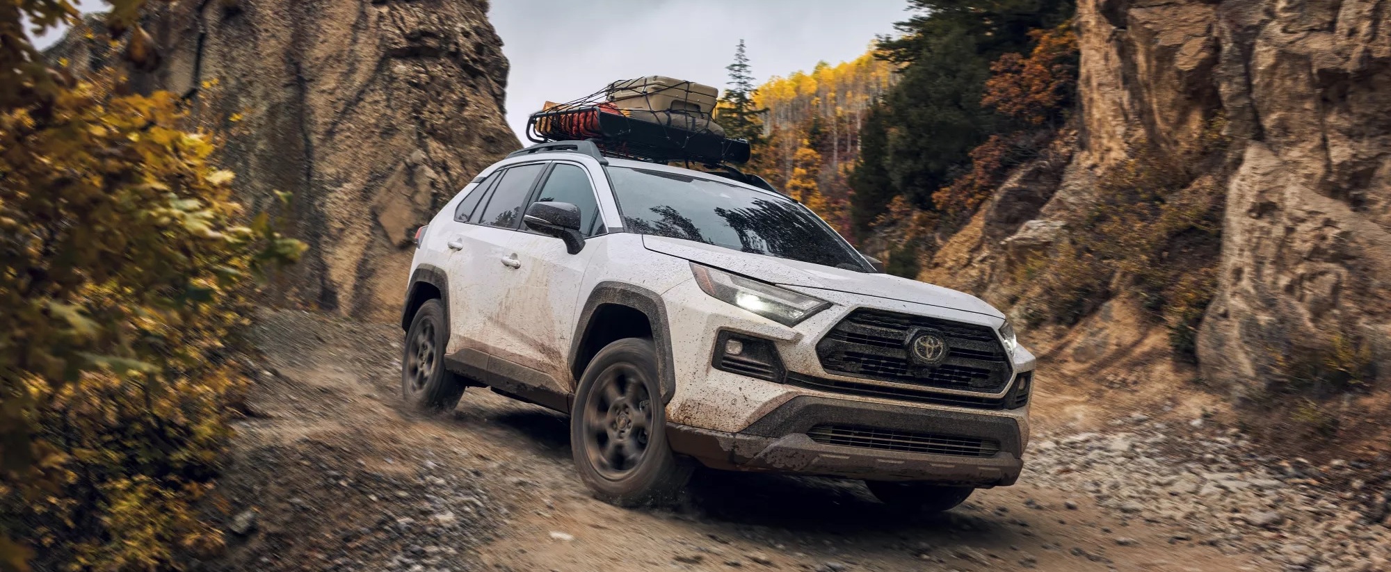 Rocker Panel Kit | TOYOTA RAV4 TRD OFF ROAD 2021 Rocker Panel Kit | TOYOTA RAV4 TRD OFF ROAD 2021