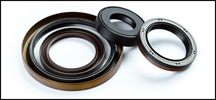 Seals and Gaskets