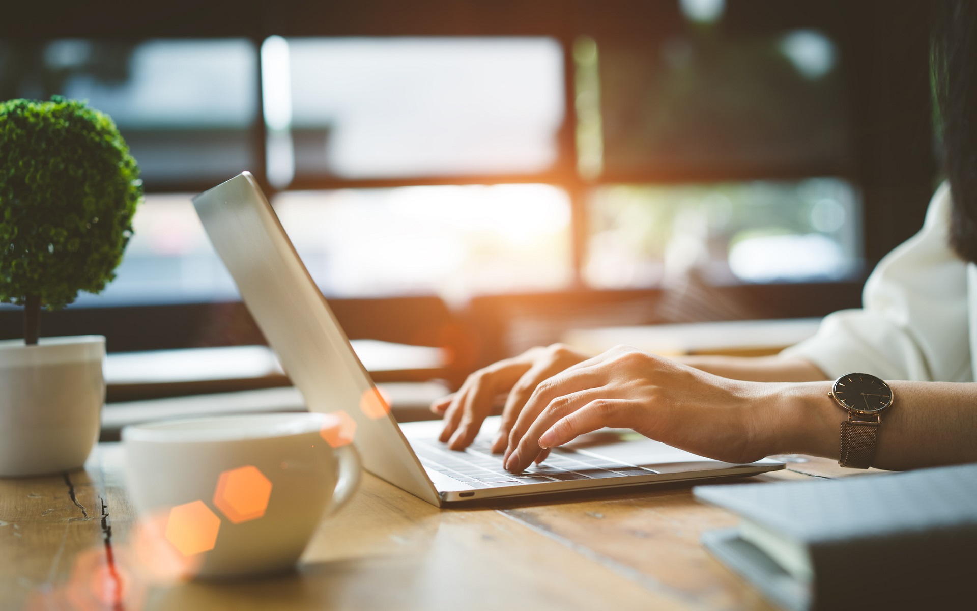 Use Our Online Tools!