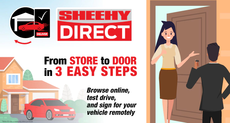 sheehy-direct