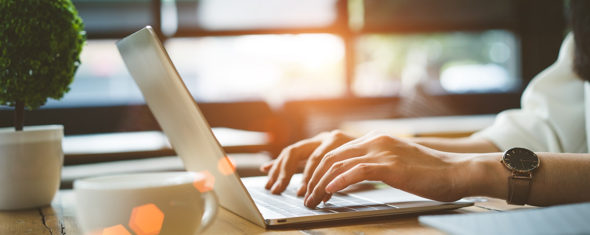 Online Bus Shopping in Illinois