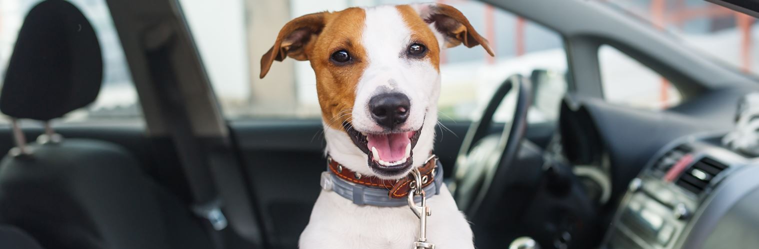 Benefits of Pre-Ordering Vehicles near San Diego, CA