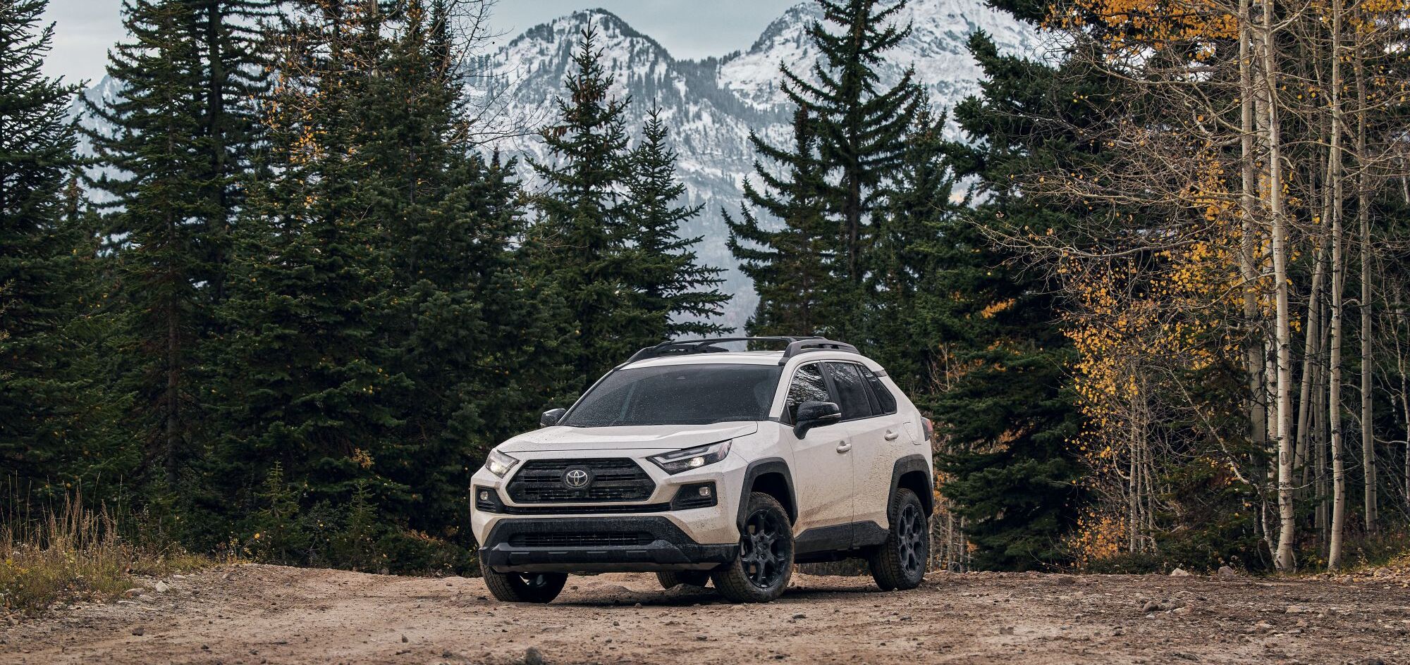 Rocker Panel Kit | TOYOTA RAV4 US TRD OFF ROAD 2020 Rocker Panel Kit | TOYOTA RAV4 US TRD OFF ROAD 2020