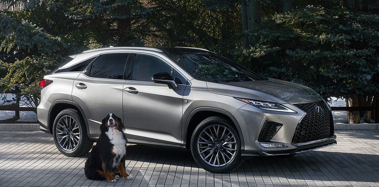 2022 Lexus RX 350 for Sale near Naperville, IL