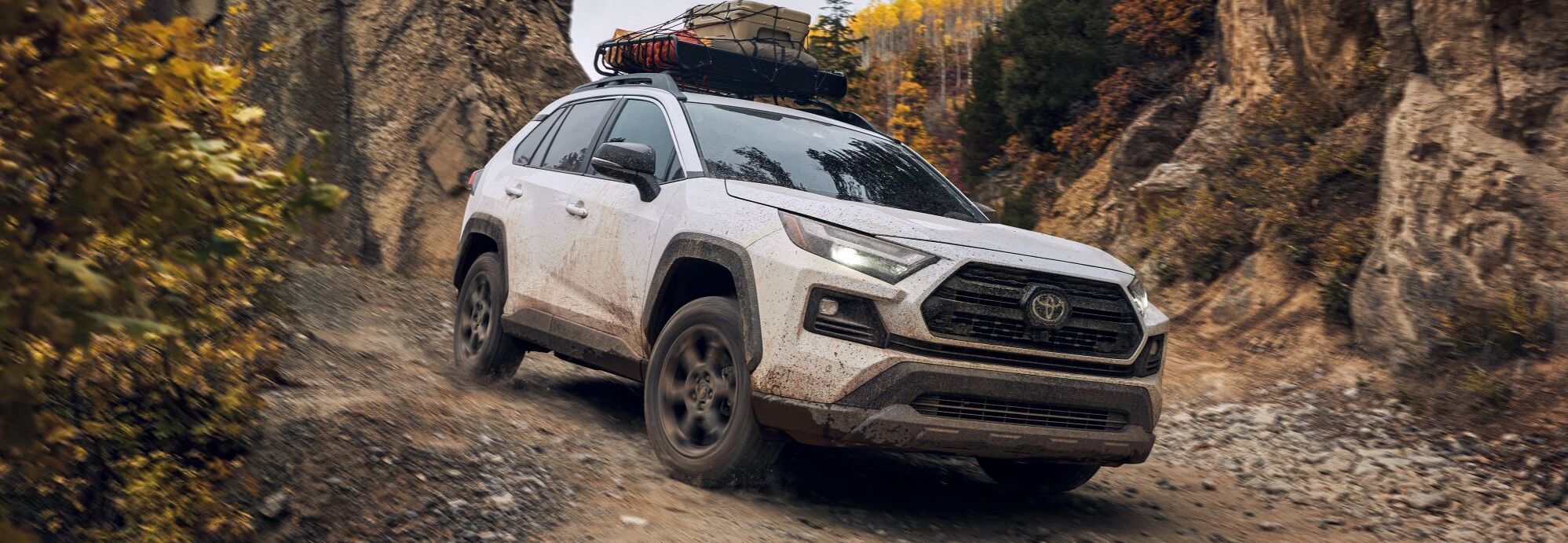  2022 Toyota RAV4 MPG in Rockford, IL