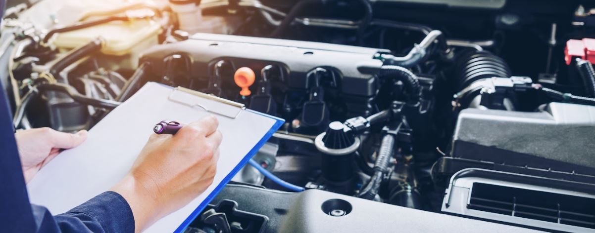 Our Team Can Help You Choose Your Oil!