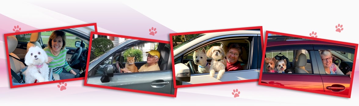 FILMING AND PHOTOGRAPHY