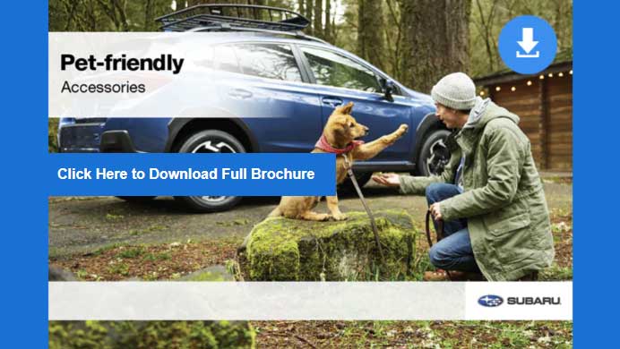 Subaru pet friendly deals accessories