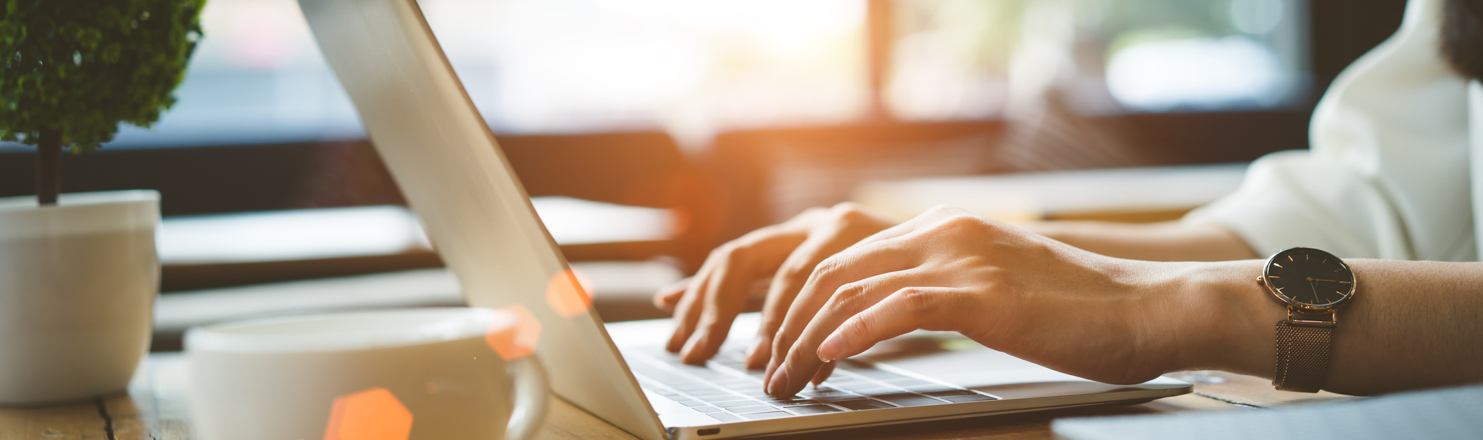 We Have Plenty of Online Tools!