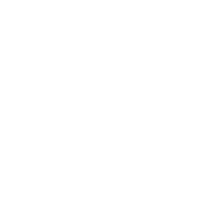 icon-standard-collision