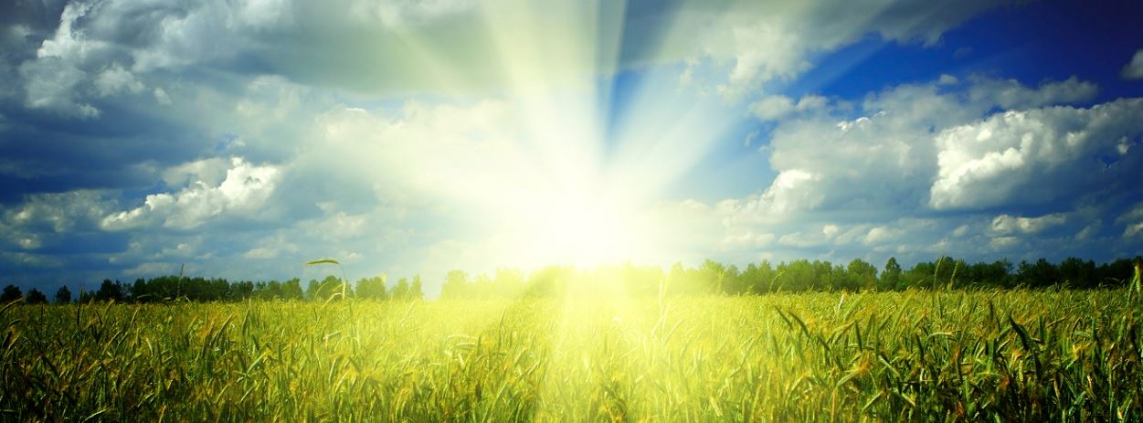 Preserve Your Local Environment!