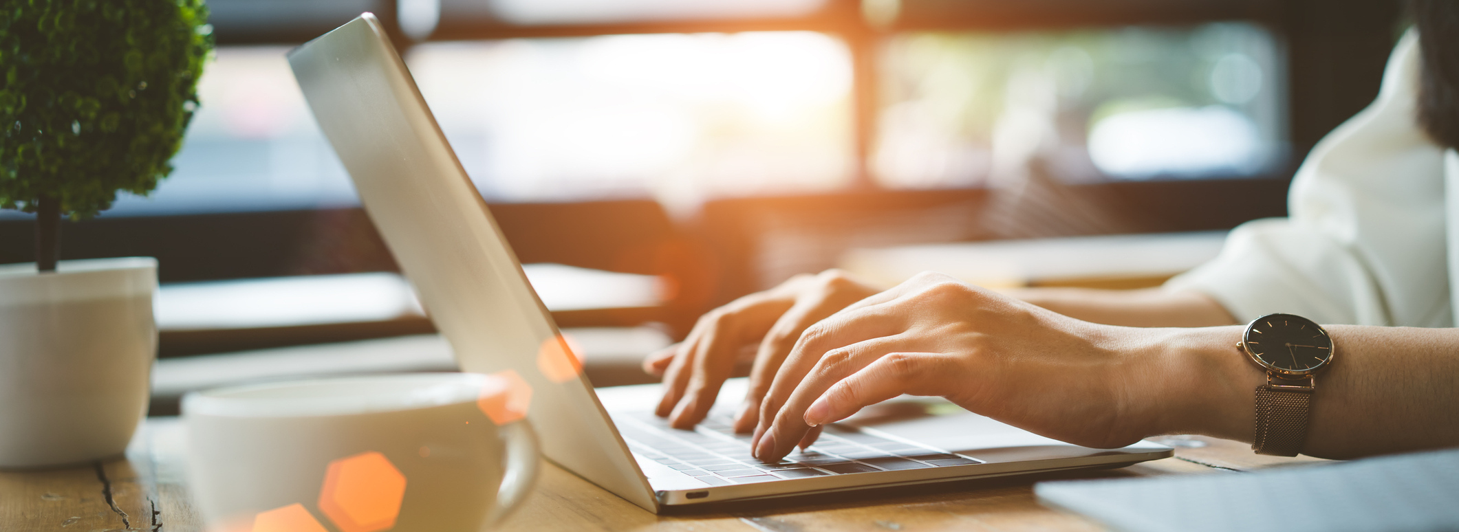 Make Your Appointment Today!