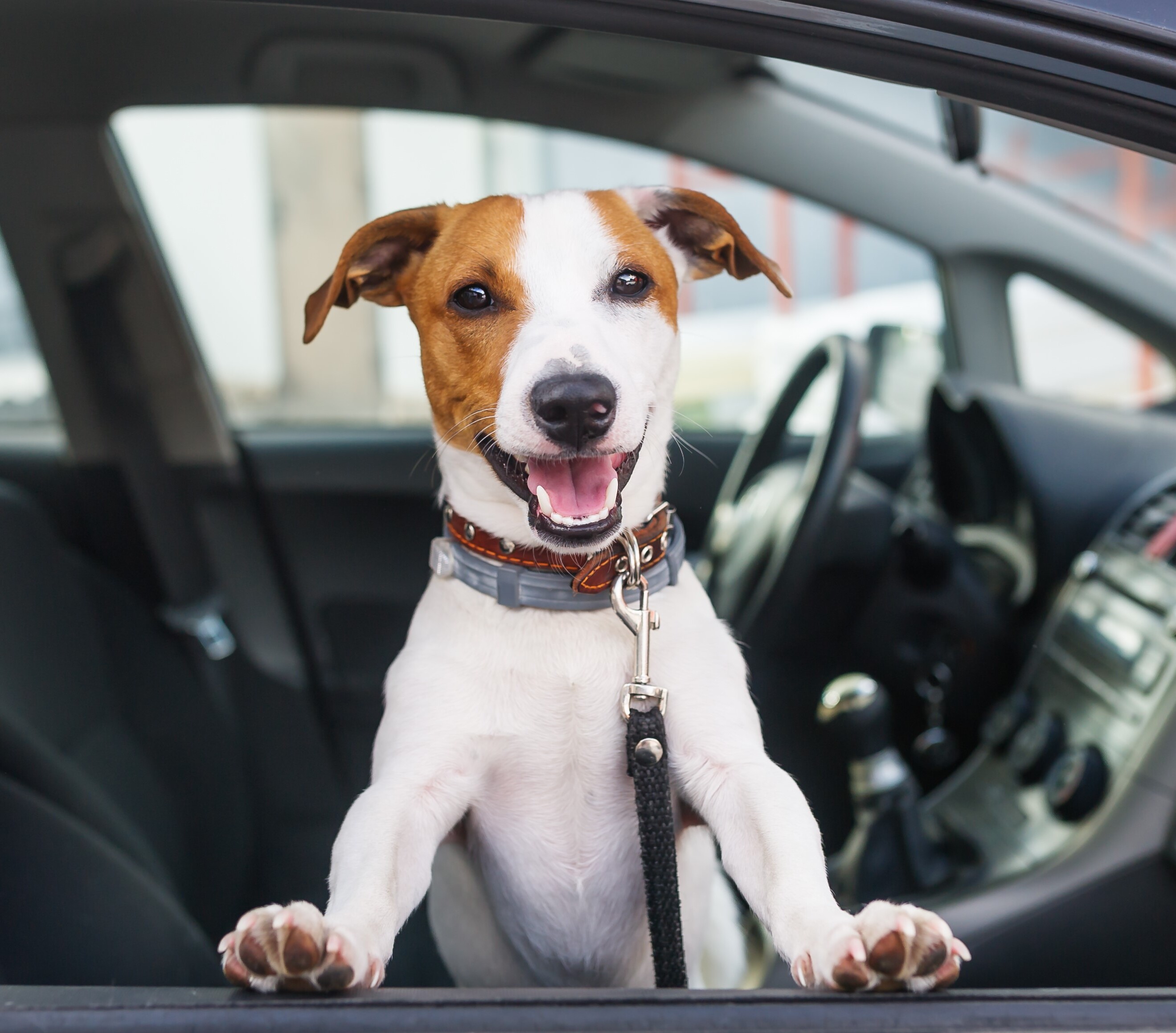 We'll Take Care Of Your Car!