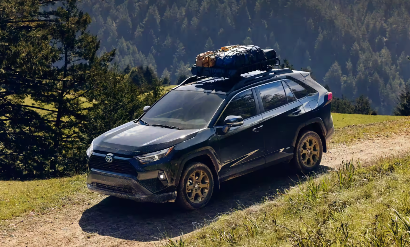 RAV4 Hybrid Woodland Edition Performance
