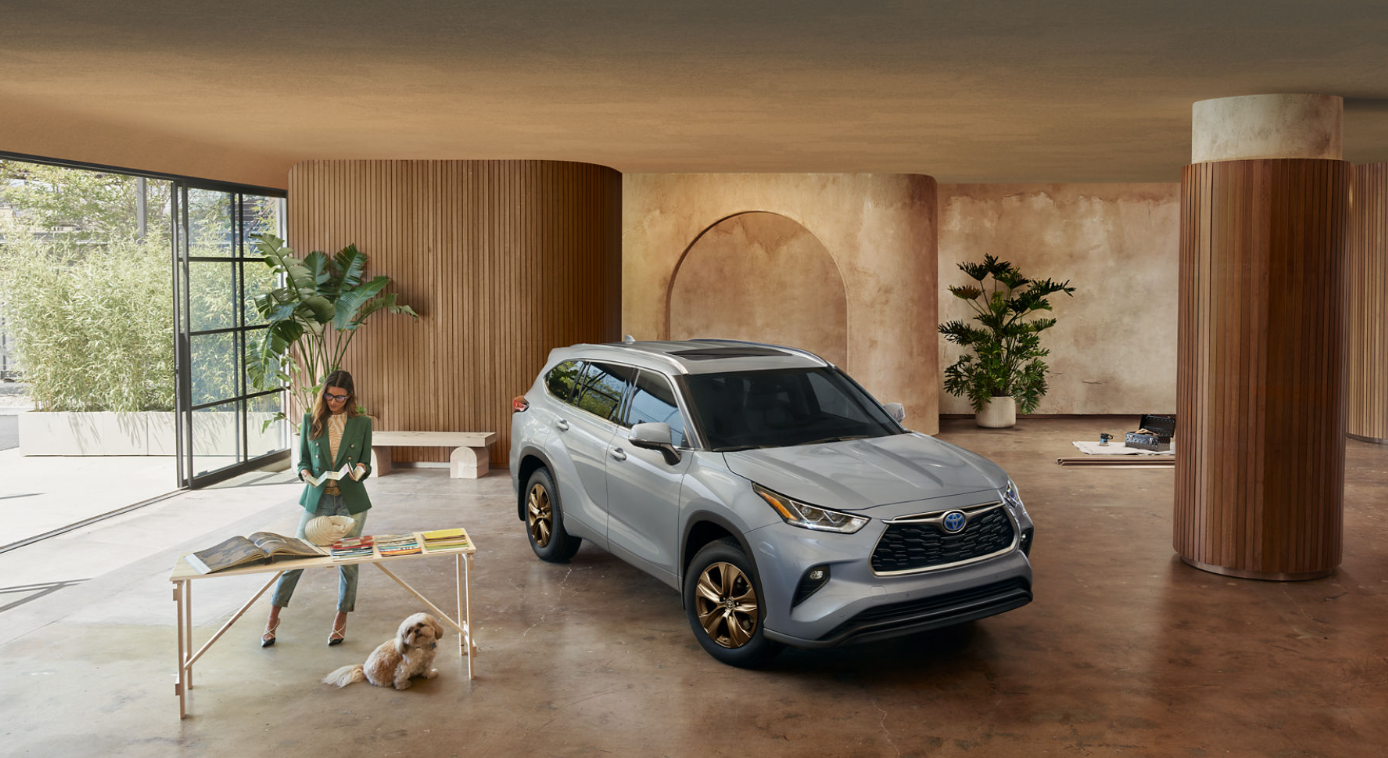 Hybrid Bronze Edition shown in Cement