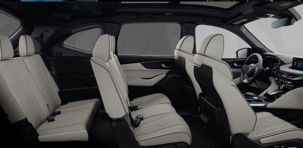 Todos los pasajeros tienen amplio espacio, independientemente del asiento que se ocupe.