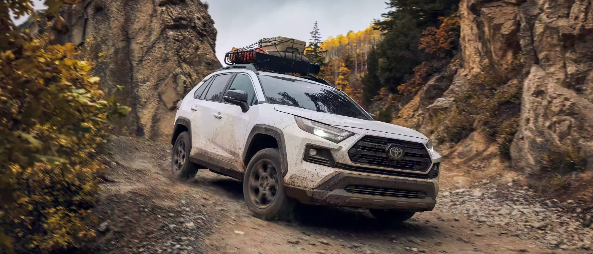 2023 Toyota RAV4 for Sale near Webster Groves, MO