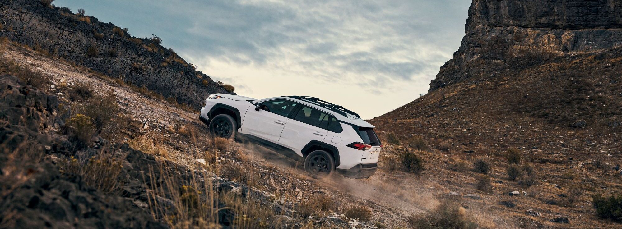 2023 Toyota RAV4 for Sale in Rockford, IL