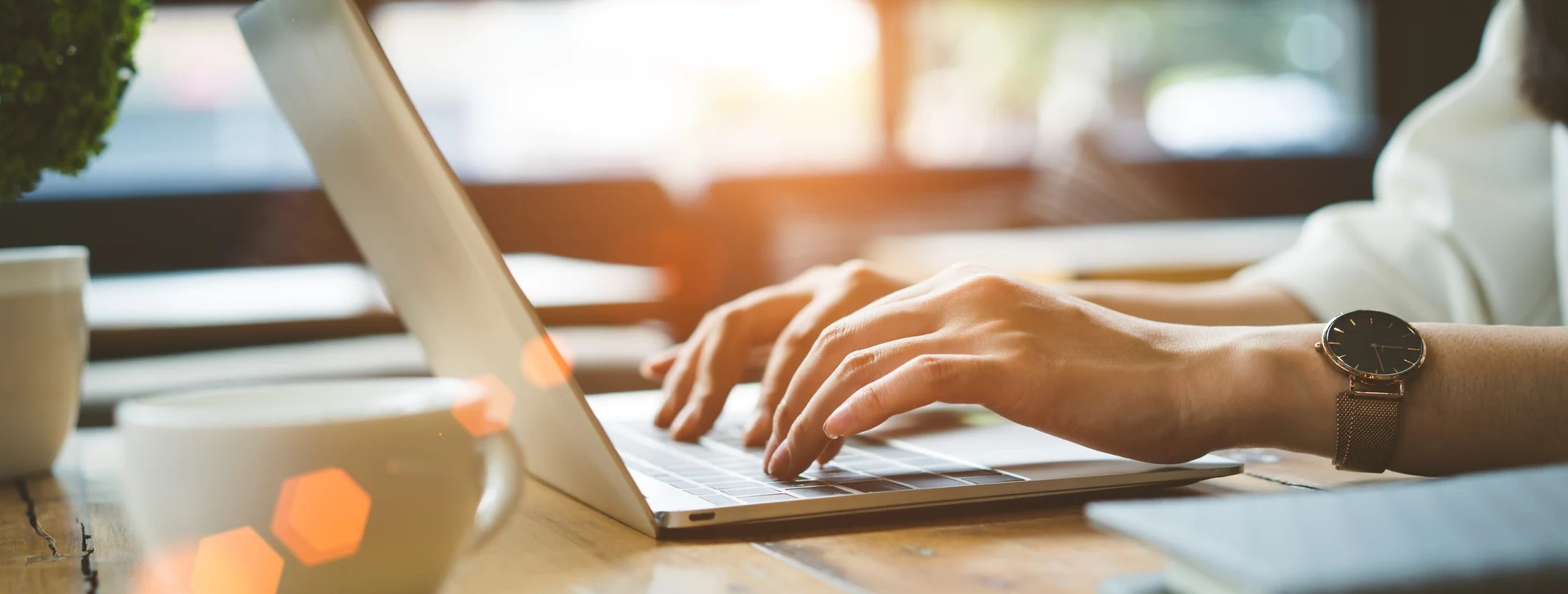 View Our Online Inventory!