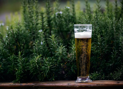 Holiday Beer Garden