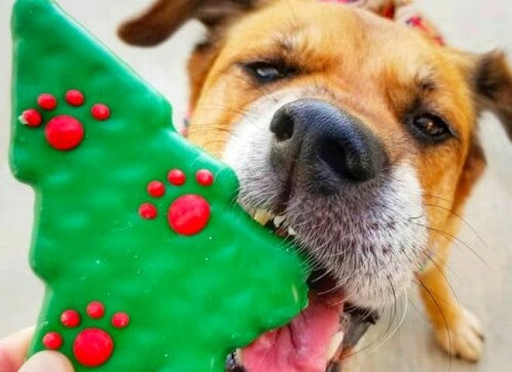 Pacific City Holiday Cookie Crawl