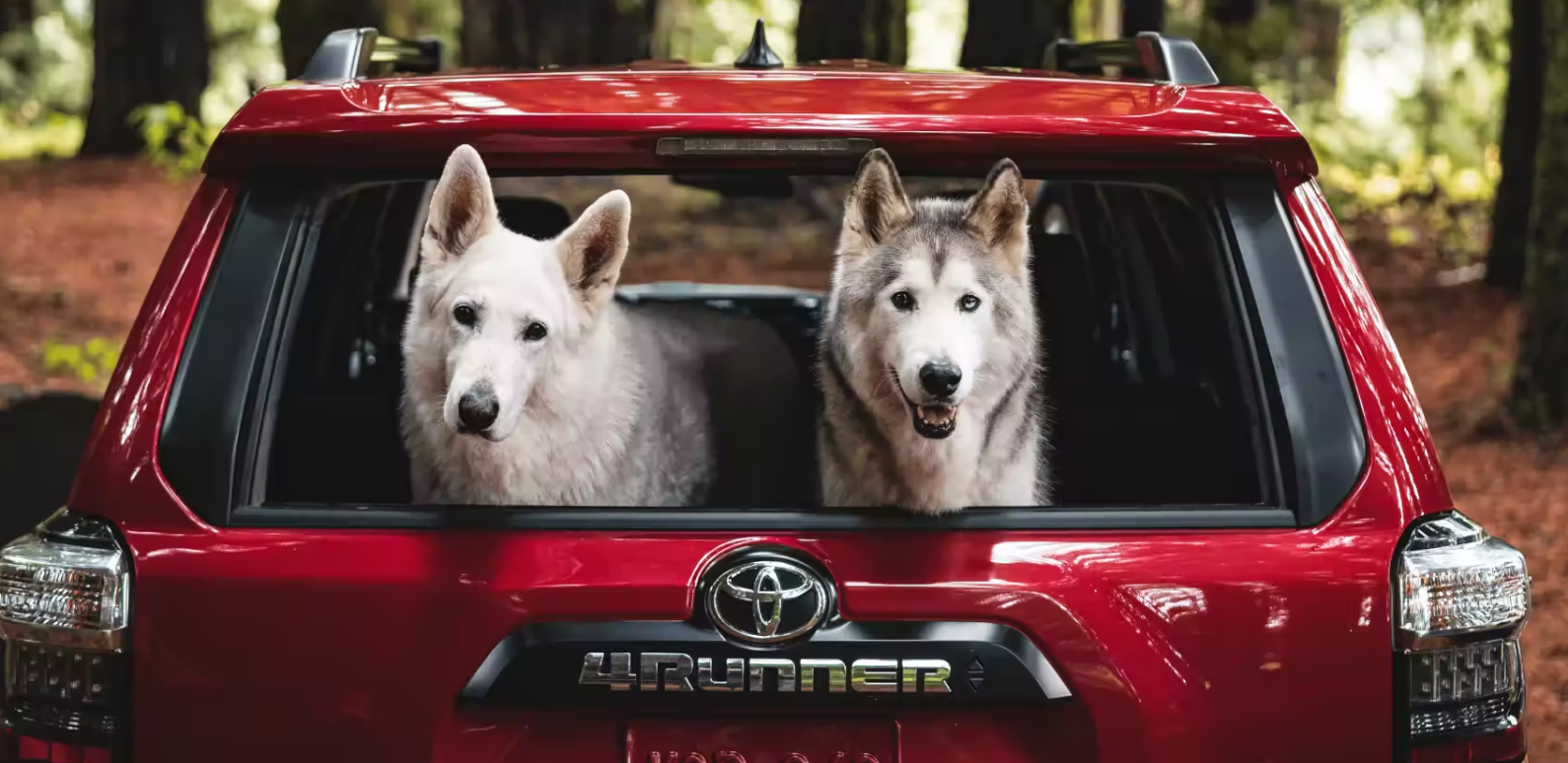 2023 Toyota 4Runner Rear Exterior