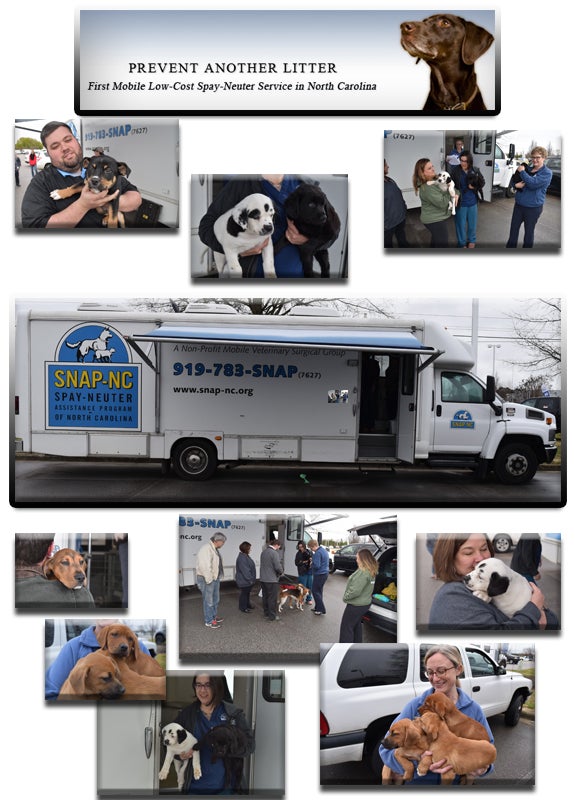 SNAP-NC: Spay Neuter Assistance Program of North Carolina