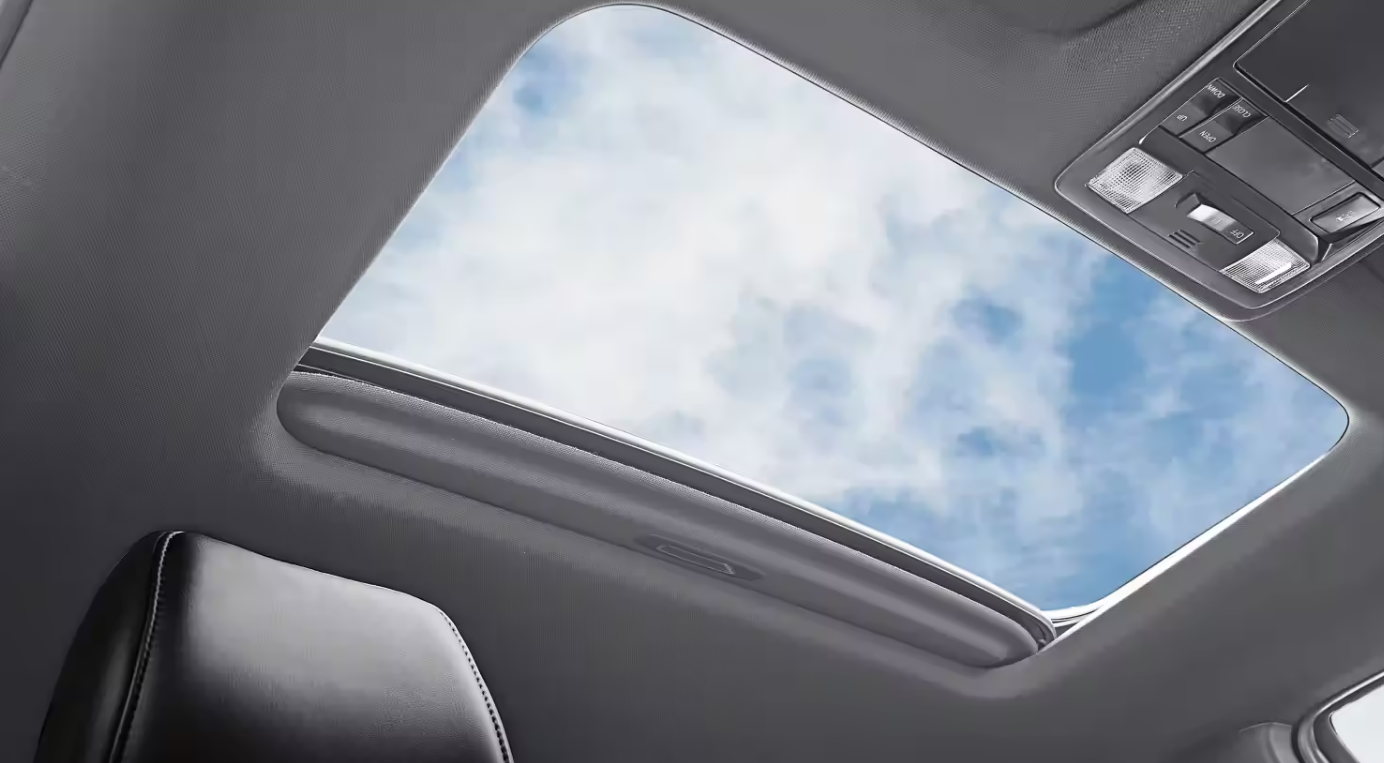 2023 Toyota Tacoma Interior Roof