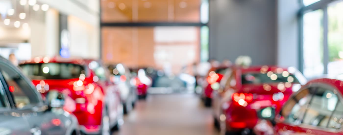 Two rows of vehicles are shown at a dealer that helps with subprime auto loans in Rockford, IL.