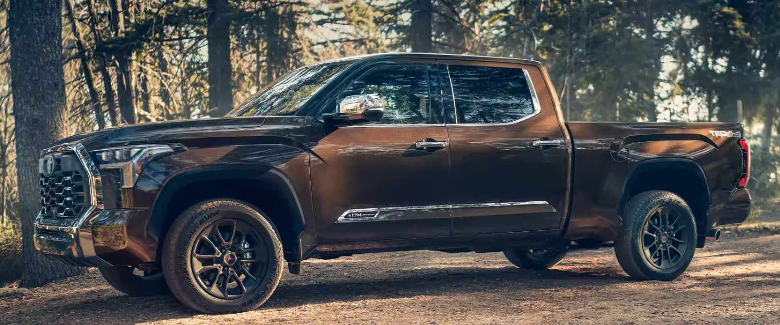 2023 Toyota Tundra for Sale near Woodland Hills, CA - Northridge Toyota