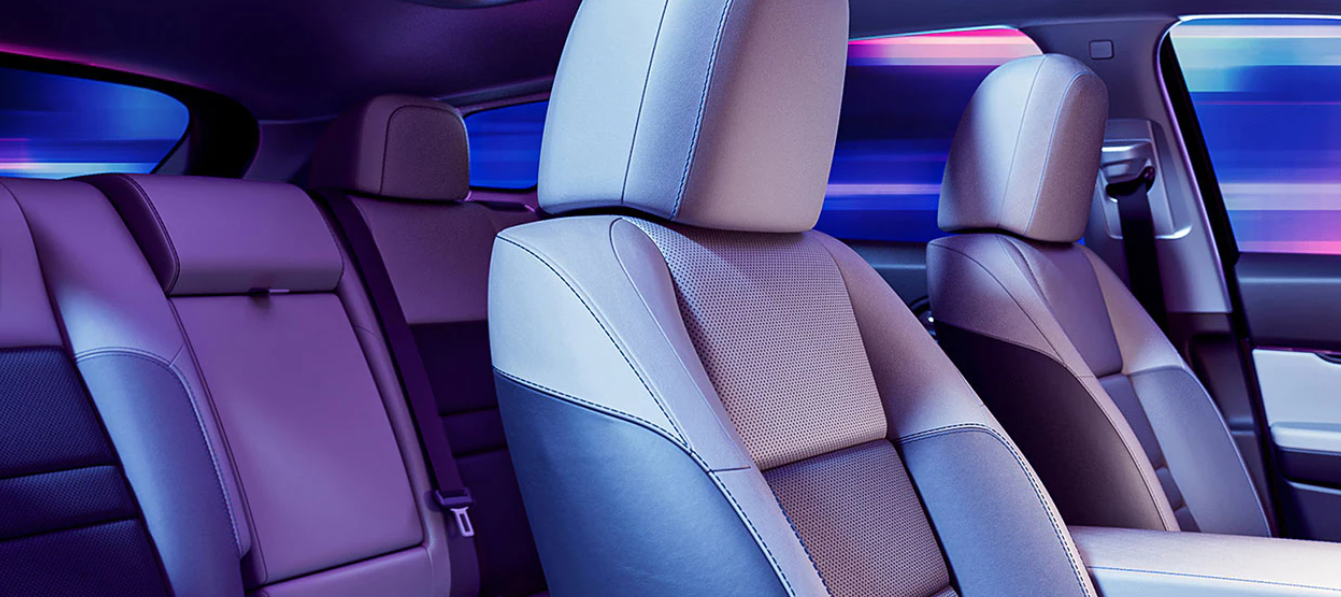 2024 Prologue Cabin (Digital Rendering)