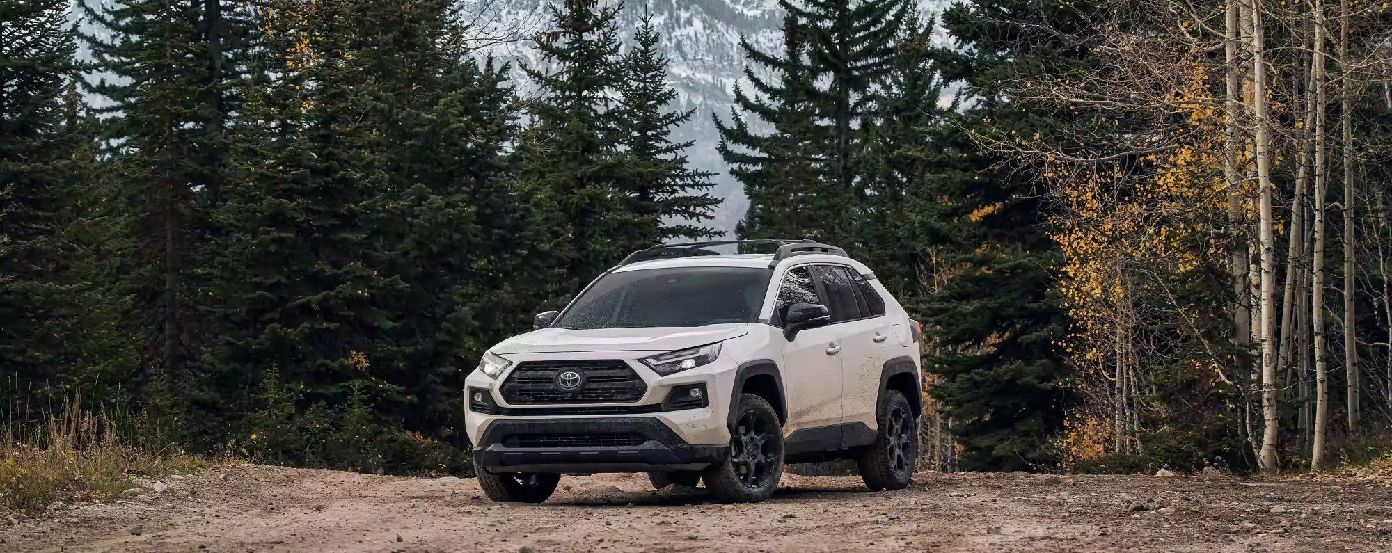 2023 Toyota RAV4 for Sale near Washington, DC