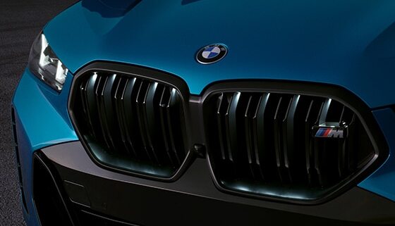 2024 BMW X6 Front Grille