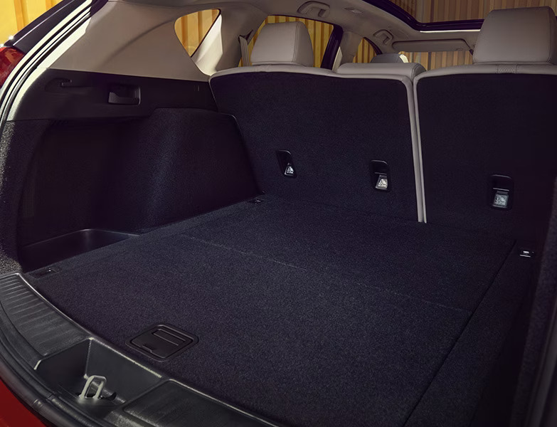 2023 Acura RDX Cargo Area