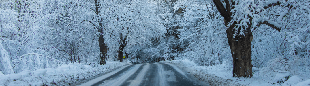 A snowy forest road in winter