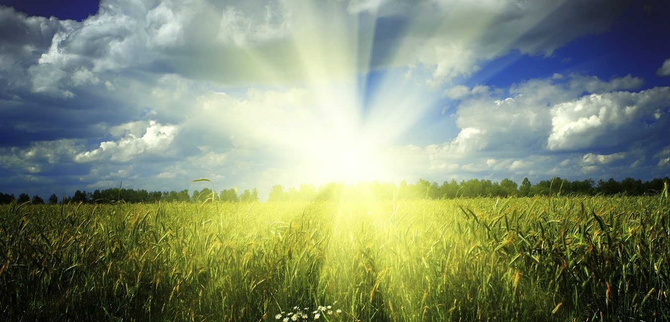 Top Toyota Vehicles for a Summer Road Trip near Matteson, IL