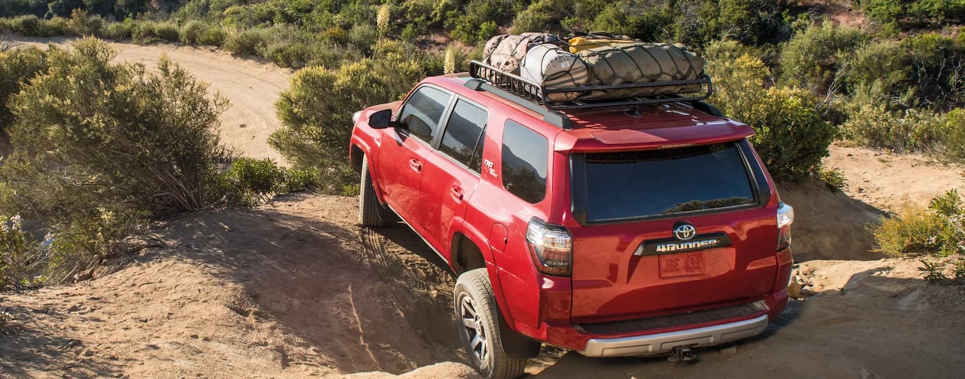 A red 2022 Toyota 4Runner off-roading on a dirt trail with gear in the cargo basket.