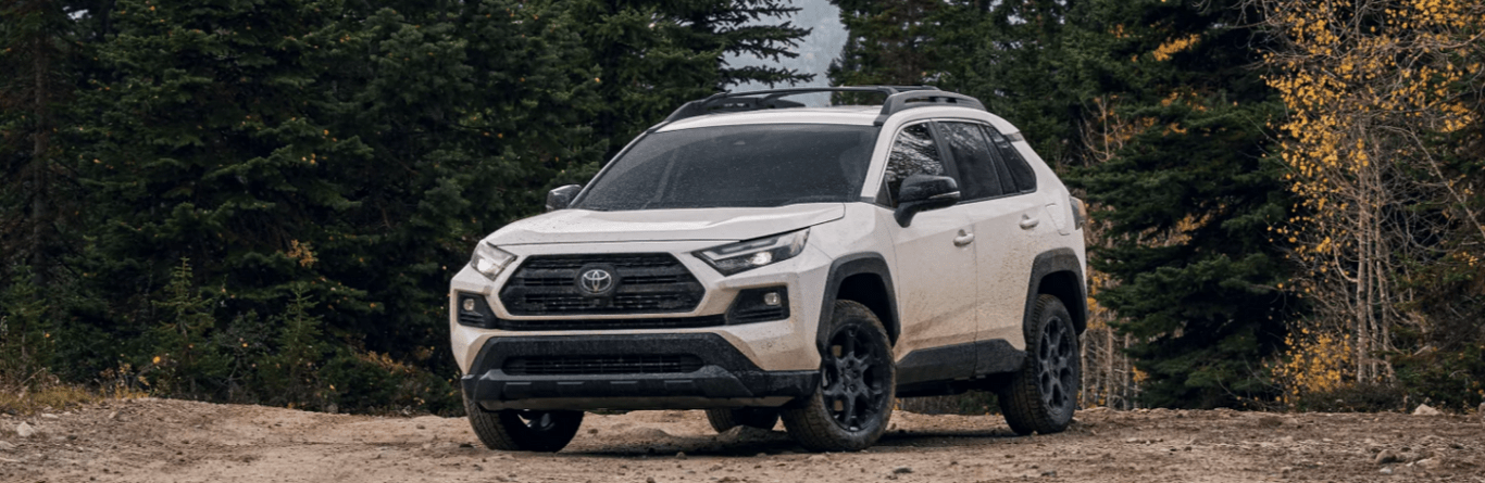 2022 Toyota RAV4 parked in the forest