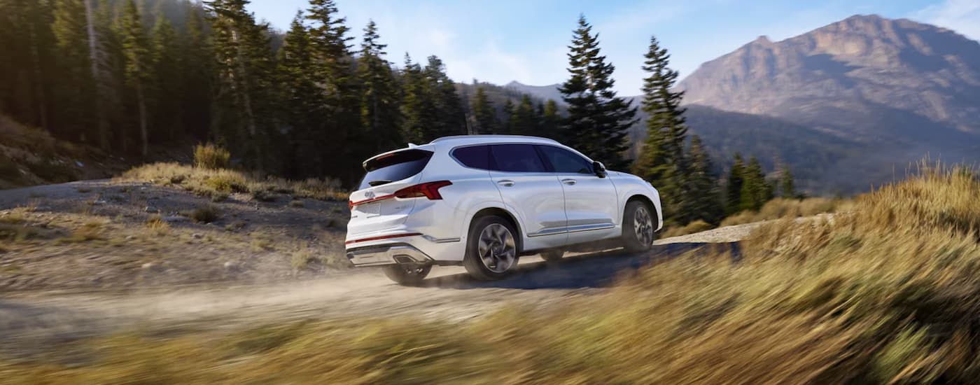 A white 2023 Hyundai Santa Fe is shown from the rear driving on a dirt road.