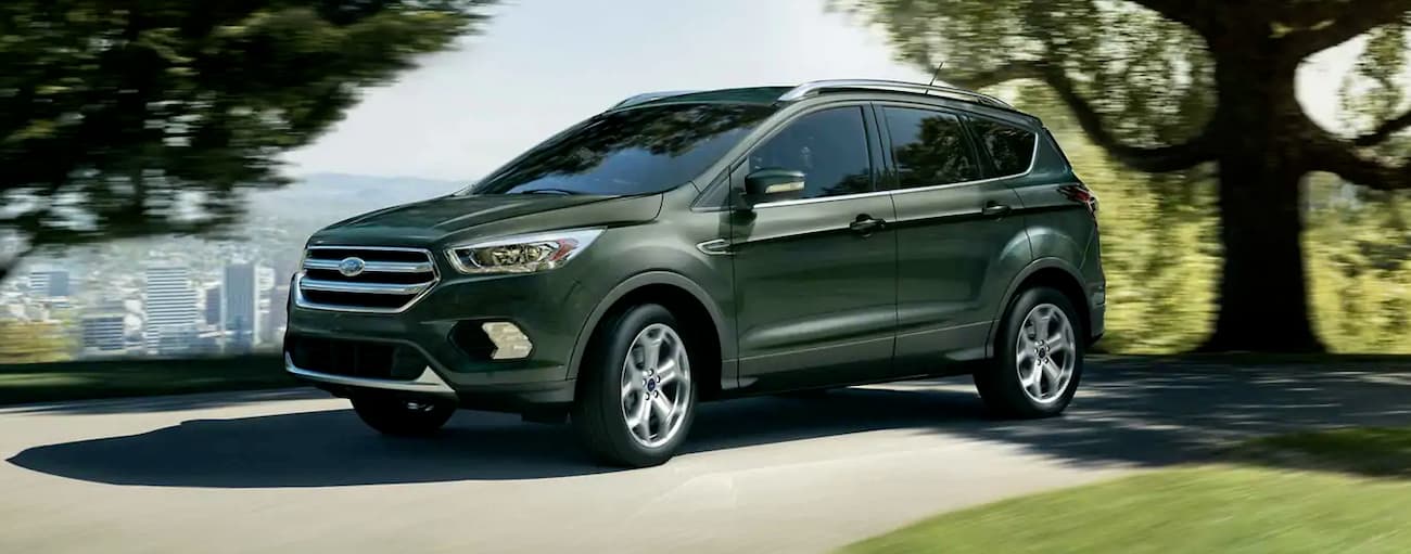 A green 2019 Ford Escape is shown driving on a tree-lined road.