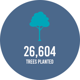 26,604 trees planted