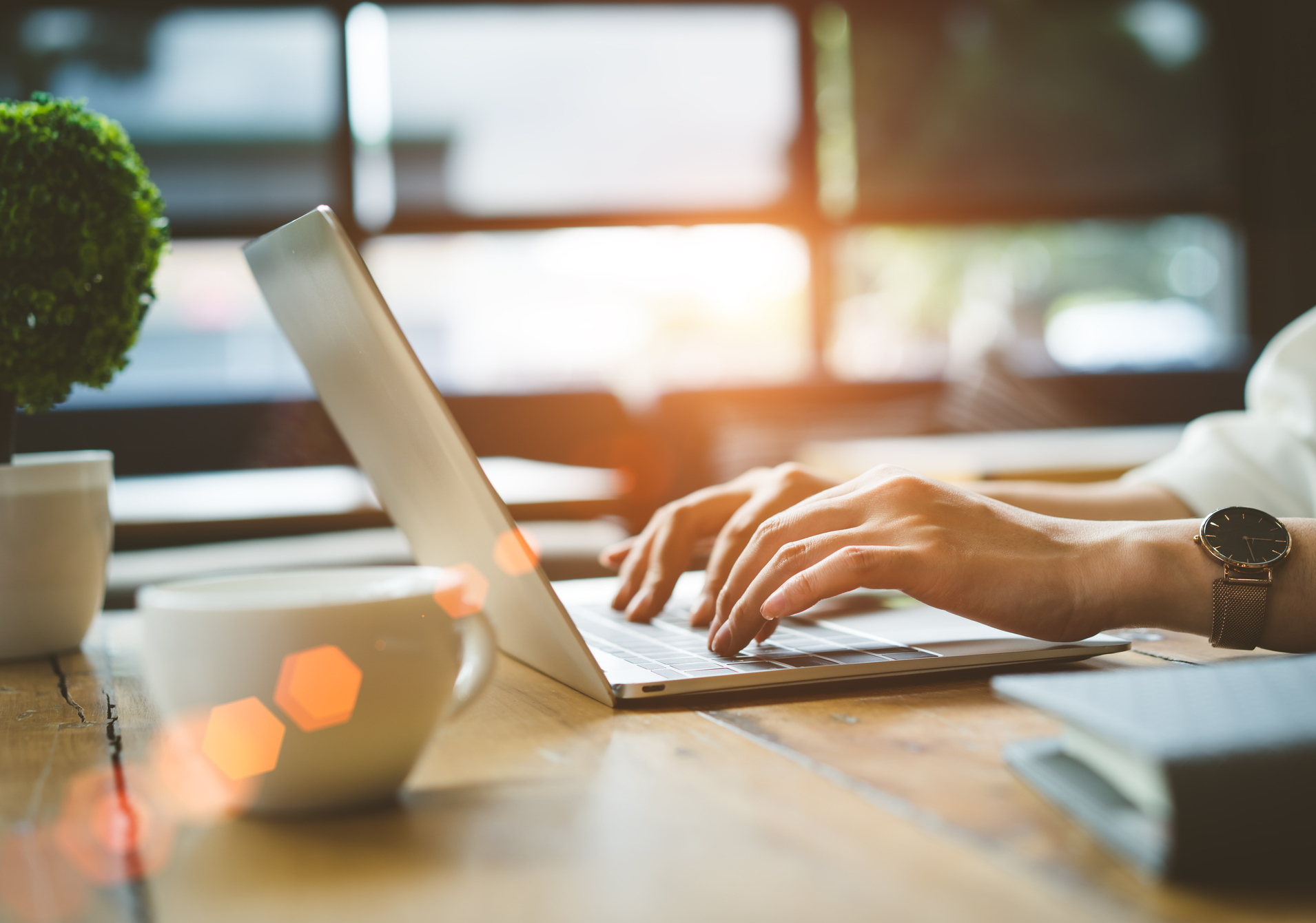 Schedule Your Appointment Online!