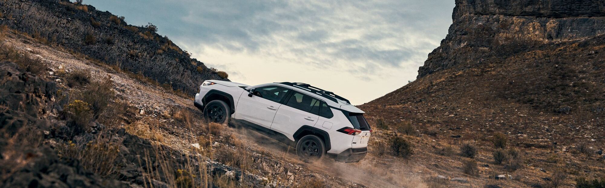 2023 Toyota RAV4 vs 2023 Nissan Rogue near Des Moines, IA