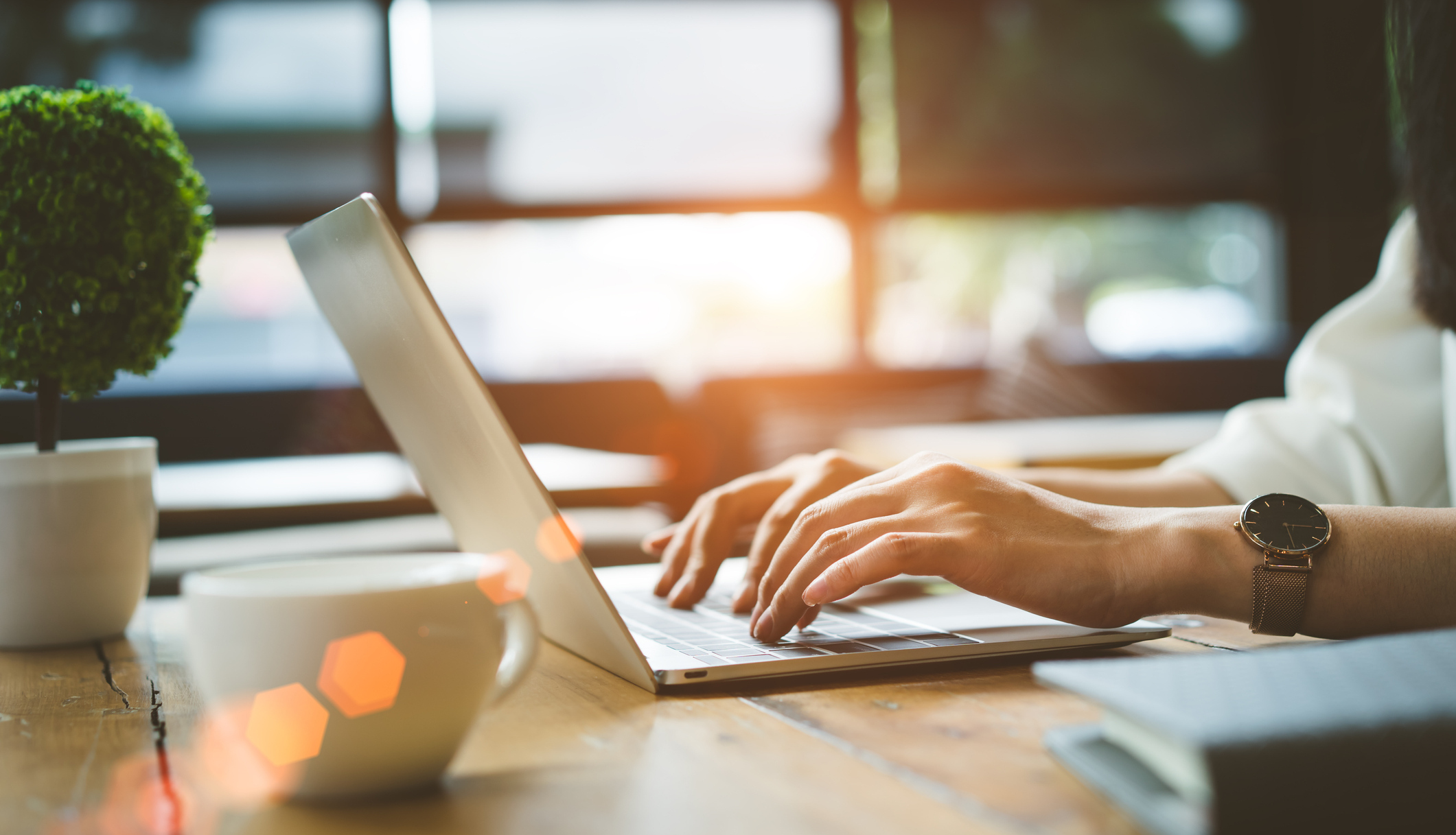 View Our Online Tools!